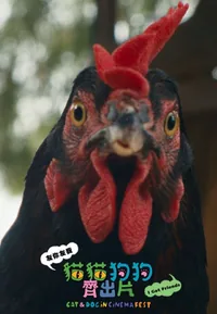 Hen (Cat & Dog)