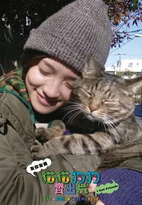 I'm a Cat Stalker (Cat & Dog)