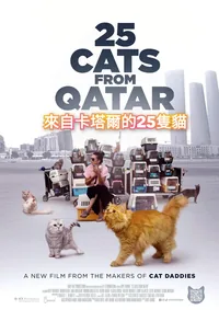 25 Cats From Qatar (InDPanda)